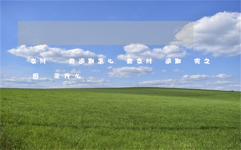 支付寶還款逾期怎么還款(支付寶逾期還完之后顯示什么)