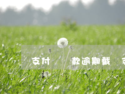 支付寶還款逾期截圖(支付寶還款成功的截圖)