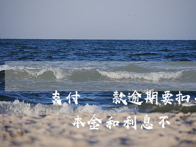 支付寶還款逾期要扣多少利息-支付寶逾期還本金和利息不還罰款利息