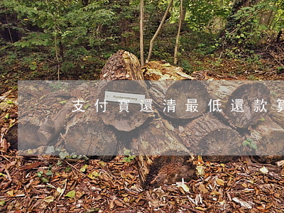 支付寶還清最低還款算逾期嗎