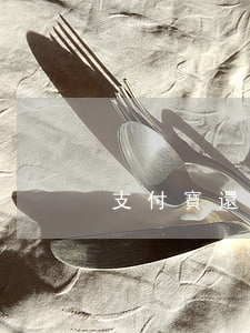 支付寶還清逾期剩分期我未還