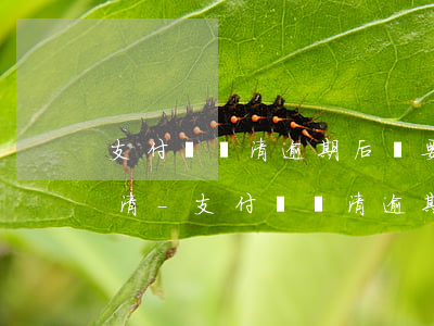 支付寶還清逾期后還要一次性結(jié)清-支付寶還清逾期后還要一次性結(jié)清嗎