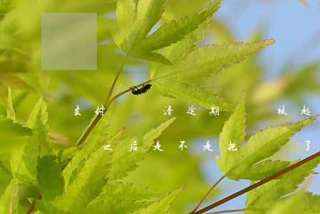 支付寶還清逾期還會被起訴嗎 支付寶逾期起訴之后是不是把錢還了就行了