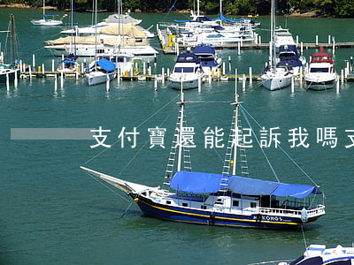 支付寶還能起訴我嗎(支付寶有起訴嗎)