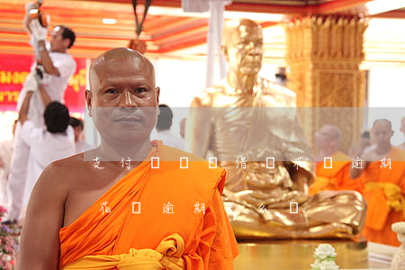 支付寶還貸借唄花唄逾期-支付寶還貸借唄花唄逾期怎么辦