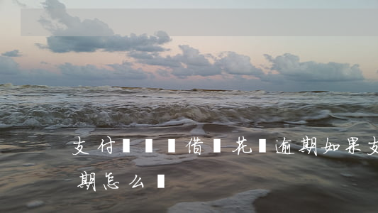 支付寶還貸借唄花唄逾期(如果支付寶借唄逾期怎么辦?)