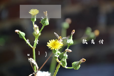 支付寶還逾期貸款(支付寶貸款逾期了會(huì)怎么樣嗎)