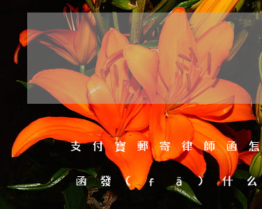 支付寶郵寄律師函怎么查快遞(支付寶的律師函發(fā)什么快遞)