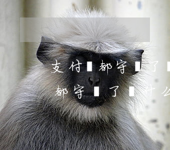 支付寶都守約了為什么顯示有逾期-支付寶都守約了為什么顯示有逾期記錄