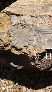 支付寶醫(yī)院掛號(hào)逾期扣分嗎(支付寶醫(yī)院掛號(hào)逾期扣分嗎)