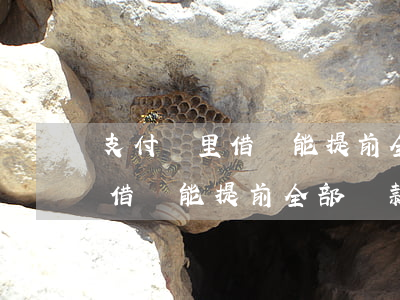 支付寶里借唄能提前全部還款嗎-支付寶里借唄能提前全部還款嗎安全嗎