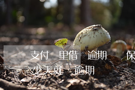 支付寶里借唄逾期記錄保持多久(借唄超過多少天就記逾期)