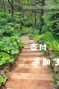 支付寶里的享換機逾期了 支付寶里的享換機逾期了