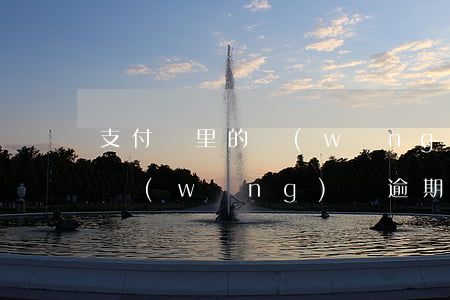 支付寶里的網(wǎng)上貸逾期(支付寶網(wǎng)貸逾期不還違約會(huì)越來越高嗎)