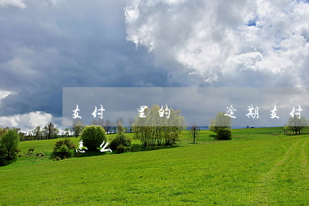 支付寶里的網貸逾期(支付寶里的網貸逾期會怎么樣)