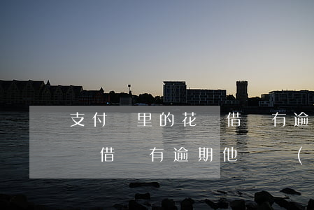 支付寶里的花唄借唄有逾期-支付寶里的花唄借唄有逾期,他們會(huì)不會(huì)起訴到法院