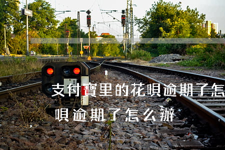 支付寶里的花唄逾期了怎么-支付寶里的花唄逾期了怎么辦