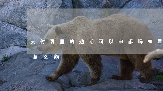 支付寶里的逾期可以申訴嗎(如果支付寶逾期怎么辦)