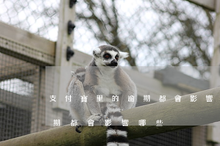 支付寶里的逾期都會影響哪些 支付寶里的逾期都會影響哪些