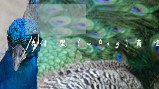 支付寶里網(wǎng)商貸逾期5天