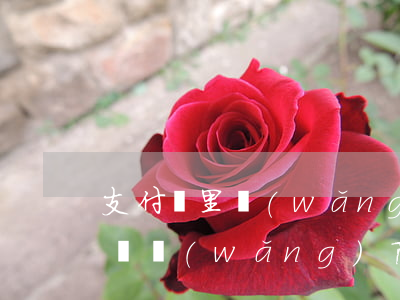 支付寶里網(wǎng)商貸逾期上門(支付寶網(wǎng)商貸欠十萬逾期了)