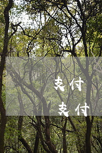 支付寶里逾期了會(huì)在卡里扣錢嗎(支付寶逾期直接把錢扣了)