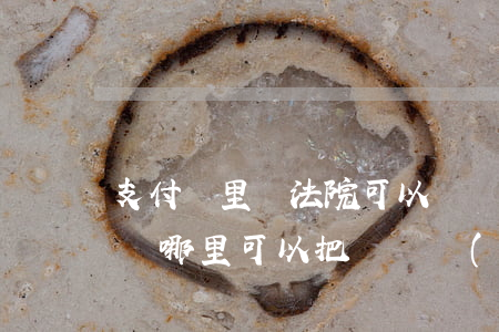 支付寶里錢法院可以凍結(jié)嗎(支付寶哪里可以把錢凍結(jié))