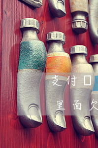 支付寶里面欠錢沒還逾期了怎么辦-支付寶里面欠錢沒還逾期了怎么辦呢