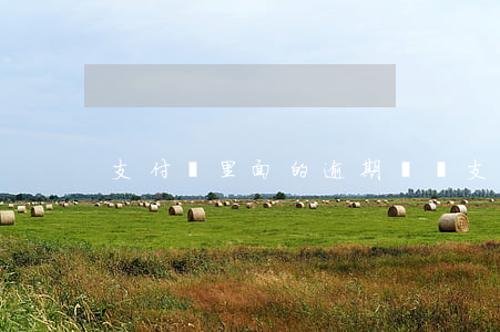 支付寶里面的逾期記錄(支付寶逾期賬單)