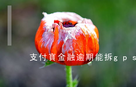 支付寶金融逾期能拆gps嗎