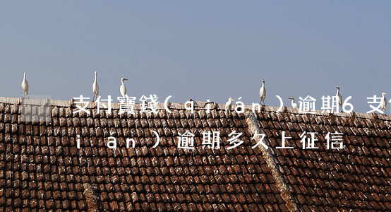支付寶錢(qián)逾期6(支付寶錢(qián)逾期多久上征信)