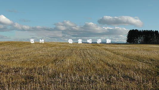 支付寶錢兔金服逾期