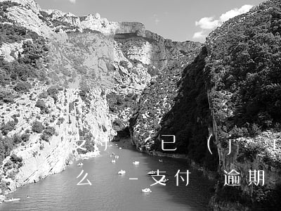 支付寶錢已經(jīng)還上了逾期了怎么辦-支付寶逾期還完了