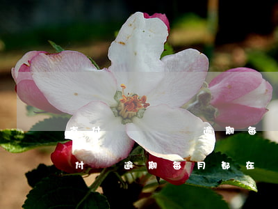 支付寶長時間逾期每個月都還一點沒事吧（支付寶逾期每月都在還）
