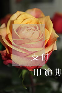 支付寶開(kāi)小號(hào)給別人用逾期(支付寶一個(gè)號(hào)逾期其他號(hào))