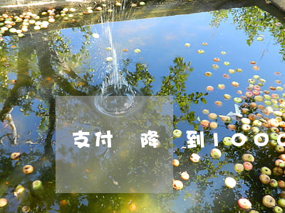 支付寶降額到1000逾期會(huì)怎樣