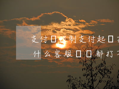 支付寶限制支付起訴(支付寶被限制支付了,為什么客服電話都打不通)