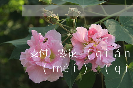 支付寶零花錢(qián)逾期(支付寶逾期沒(méi)錢(qián)還)