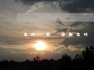 支付寶面臨逾期(支付寶逾期怎么回事)