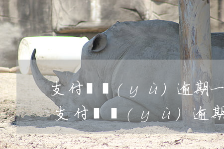支付寶預(yù)逾期一個月會有什么事-支付寶預(yù)逾期一個月會有什么事
