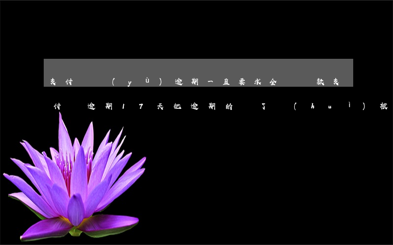 支付寶預(yù)逾期一直要求全額還款(支付寶逾期17天把逾期的還了會(huì)被要求還全款嗎)
