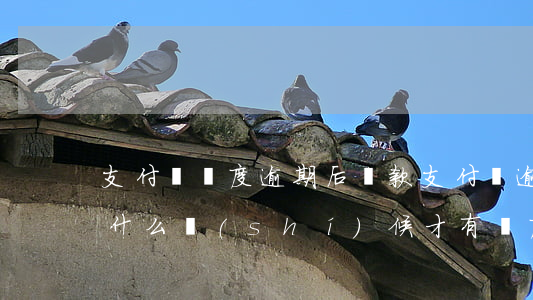 支付寶額度逾期后還款(支付寶逾期后又還上,什么時(shí)候才有額度)