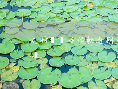 支付寶顯示借款逾期(支付寶借款逾期會怎么樣)
