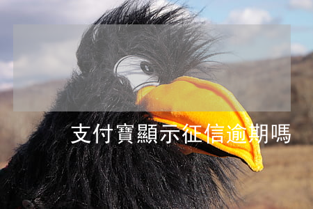 支付寶顯示征信逾期嗎