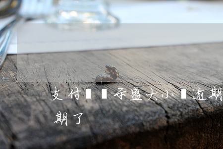 支付寶顯示盛大小貸逾期記錄(支付寶貸款逾期了)