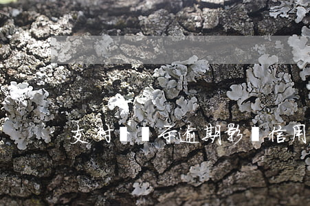支付寶顯示逾期影響信用卡嗎