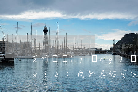支付寶風(fēng)險(xiǎn)協(xié)商部真的可以協(xié)商還款嗎-支付寶風(fēng)險(xiǎn)協(xié)商部真的可以協(xié)商還款嗎