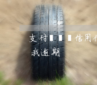 支付寶飛豬信用住逾期七天（支付寶飛豬顯示我逾期）