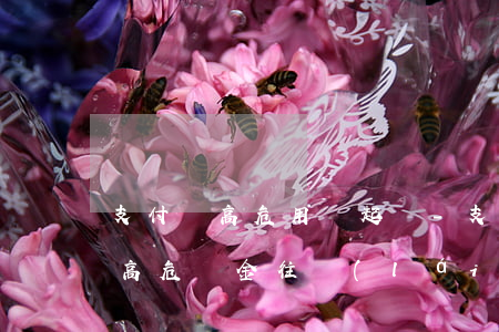 支付寶高危用戶起訴-支付寶發(fā)生高危資金往來(lái)怎么解決