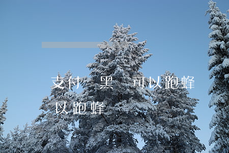 支付寶黑戶可以跑蜂鳥眾包嗎（支付寶逾期可以跑蜂鳥嗎）